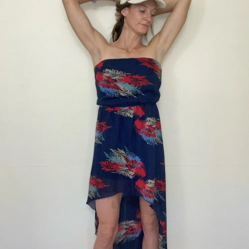 Wet Seal Strapless Dress in Navy and Red Feather